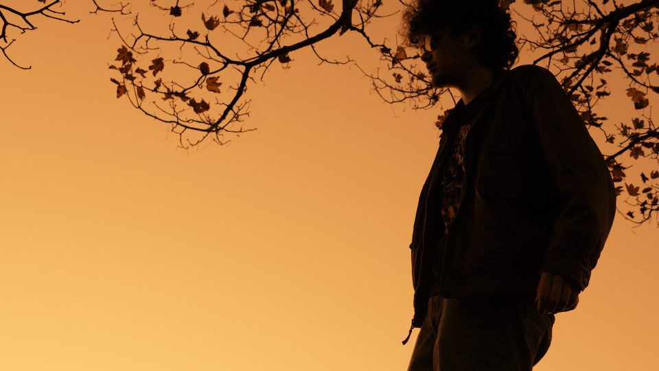 Silhouette under an autumn tree at sunset