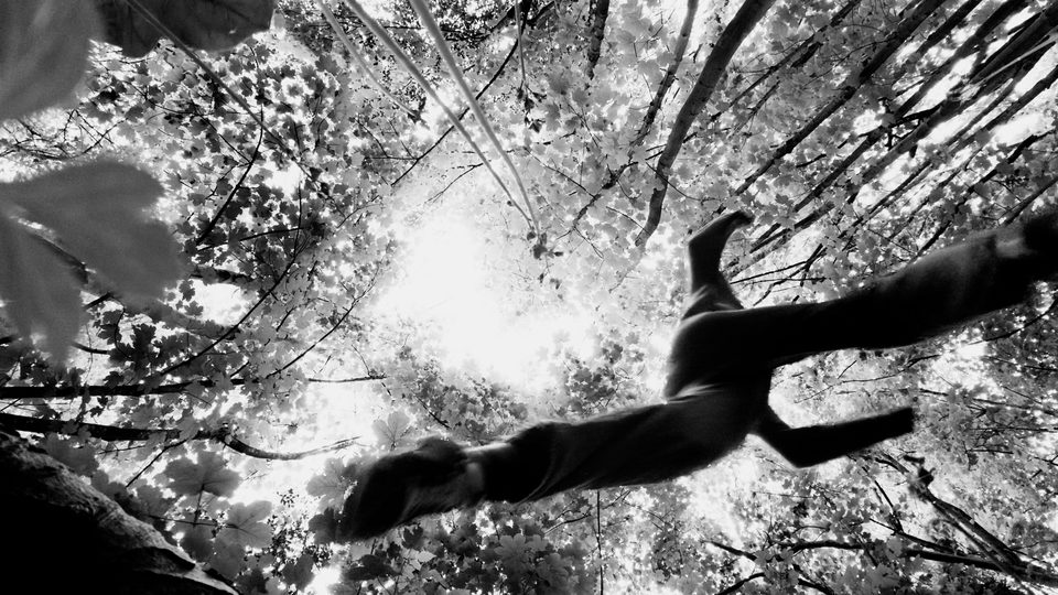 Black-and-white frame looking up at a figure falling through trees